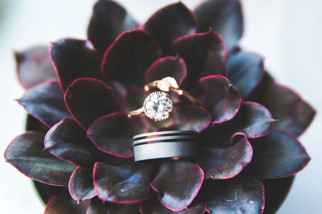 Gift inspiration